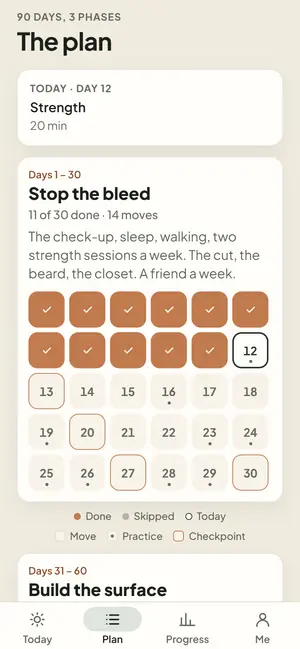 The plan: three phases and the grid of 90 days.